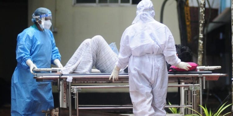 What is Nipah virus? Symptoms explained of killer new bug from India | World | News