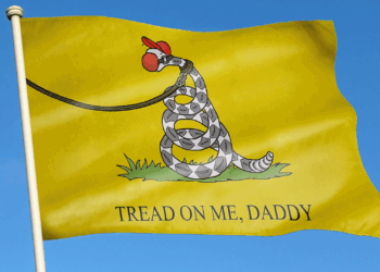 Where have the 'Don't Tread on Me' Republicans gone?