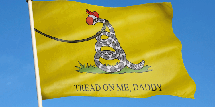 Where have the 'Don't Tread on Me' Republicans gone?