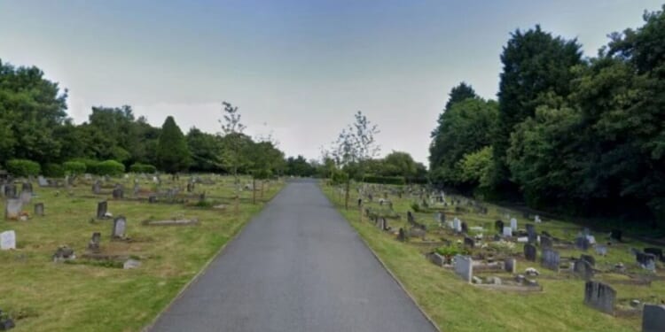 Woman 'raped in woodland near cemetery' in broad daylight | UK | News