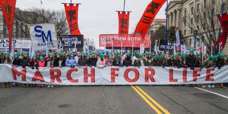 Young men at March for Life pledge to have kids: ‘You’re looking at the future right here!’