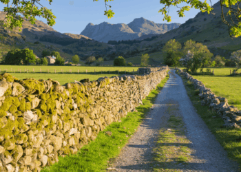 Britain’s countryside to be made ‘less white’ under Government’s nationwide diversity plans