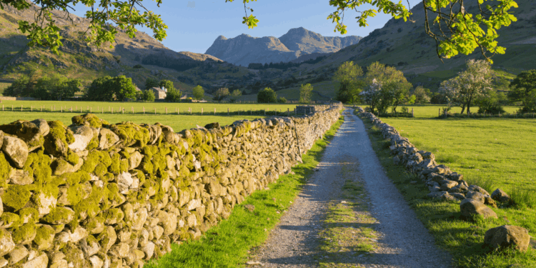 Britain’s countryside to be made ‘less white’ under Government’s nationwide diversity plans