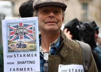 Inheritance tax reforms set to hit old farmers hardest as Lords warn Labour of 'generational divide'