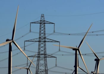 Farmers face 'risk to livelihoods' as net zero drive could cost £1BILLION extra per year