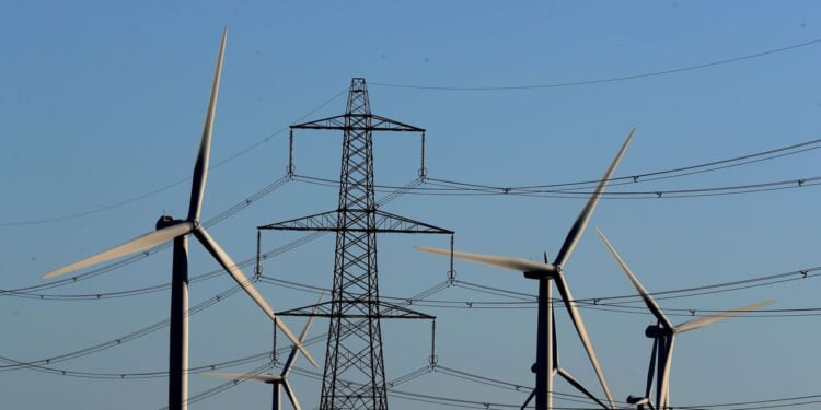 Farmers face 'risk to livelihoods' as net zero drive could cost £1BILLION extra per year