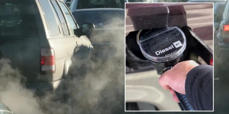 Labour urged to confront 'Dieselgate 2' as 110 car models face emissions probe