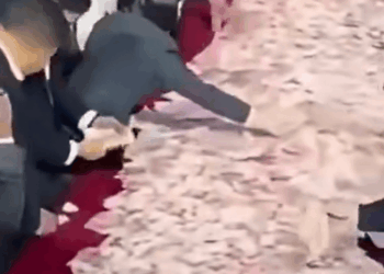 Chinese company lays out £19MILLION in cash bonus at end of year party for employees