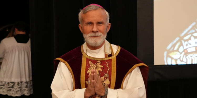 Bishop Strickland: ‘I cannot remain silent’ as confusion in the Church deepens