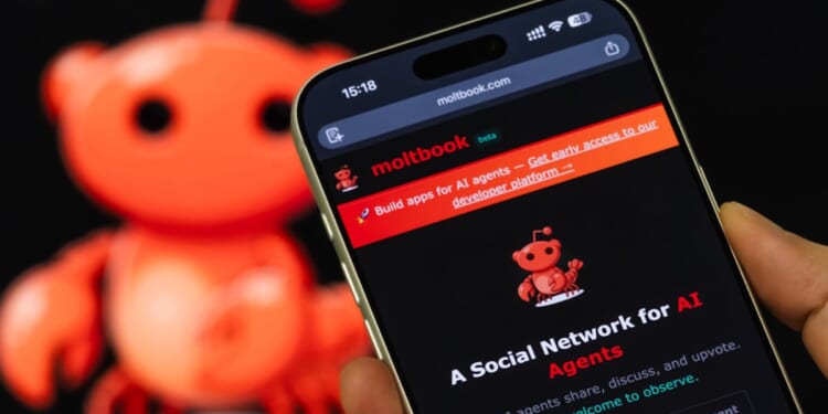 Did AI Social Network Moltbook Need Humans After All?