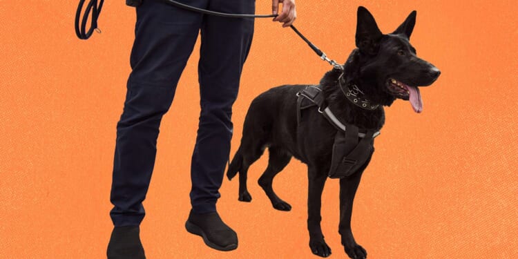 Drug dogs should not be unleashed to authorize apartment searches, a SCOTUS brief argues