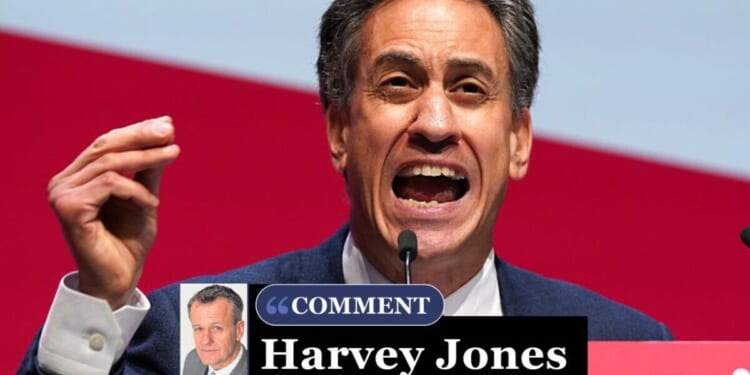 Ed Miliband opens his mouth and full fat nonsense comes out - whopper | Personal Finance | Finance