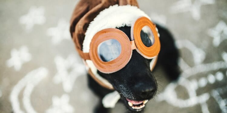 Faith: Holy space, heavenly noise