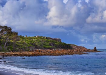 Heroic Teen Swam For Hours To Save Family Stranded At Sea