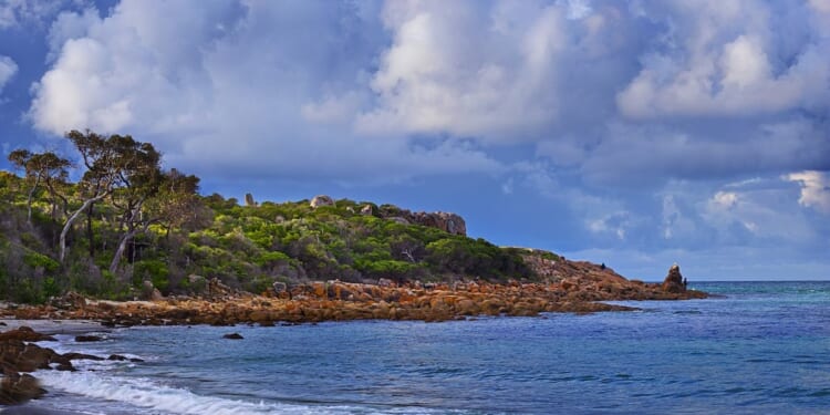 Heroic Teen Swam For Hours To Save Family Stranded At Sea