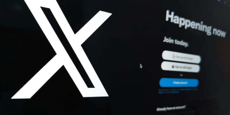 Leader of campaign against homosexual ‘marriage’ has X account hacked, posts deleted