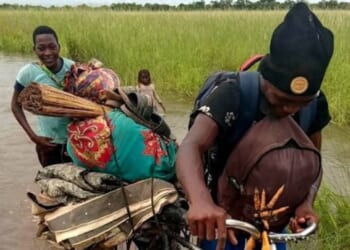 Mozambique devastated in severe flooding