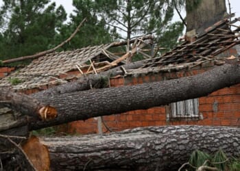Panic as tourist hotspot in Spain hit by mass evacuations | World | News