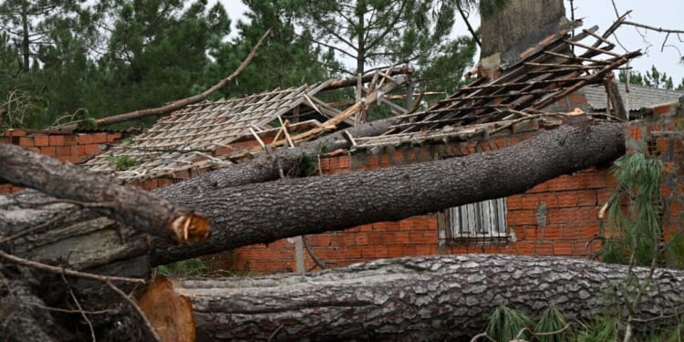 Panic as tourist hotspot in Spain hit by mass evacuations | World | News