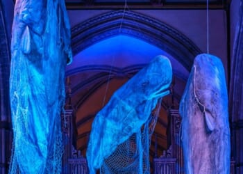 Photo story: God’s creatures