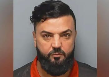 Smuggler transported hundreds of illegal migrants into UK - £1,650 for HGV crossing | UK | News