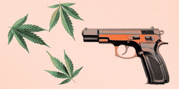 The ACLU joins the NRA in urging SCOTUS to uphold pot users' gun rights