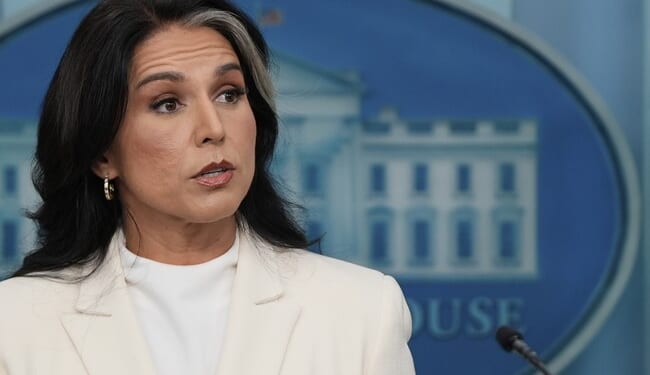 The Knives Are Out for Tulsi Gabbard as She Closes in on 2020 Election Fraud – RedState