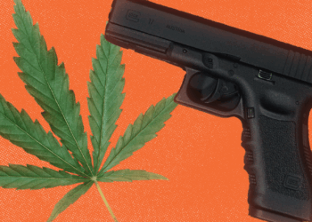 The NRA and NORML unite to oppose the federal gun ban for marijuana users