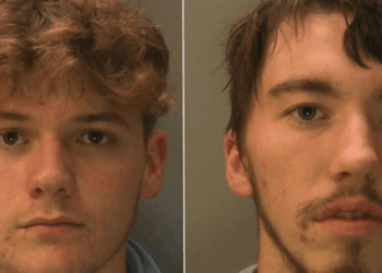 Two students jailed after blowing up sheep with fireworks in brutal attack