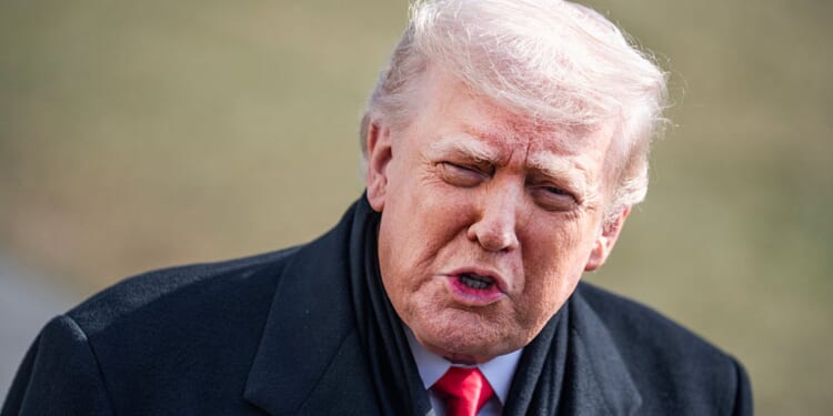 Video Suggests Alex Pretti May Have Been An ‘Insurrectionist’