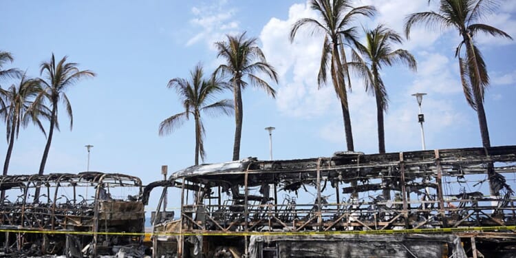 We Live Next To A Failed Narco-State. Why Are We Still Focused On The Middle East?