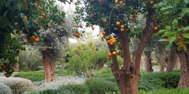 What the modern environmental narrative gets wrong