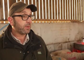 Spring Statement: Farmer despairs at 'sticking plaster' U-turn ahead of announcement