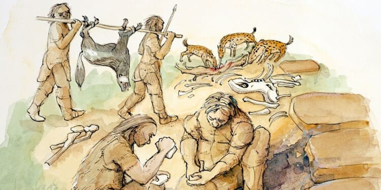 Stone Age chefs surprisingly talented cooks who ate 'complex cuisines', study reveals