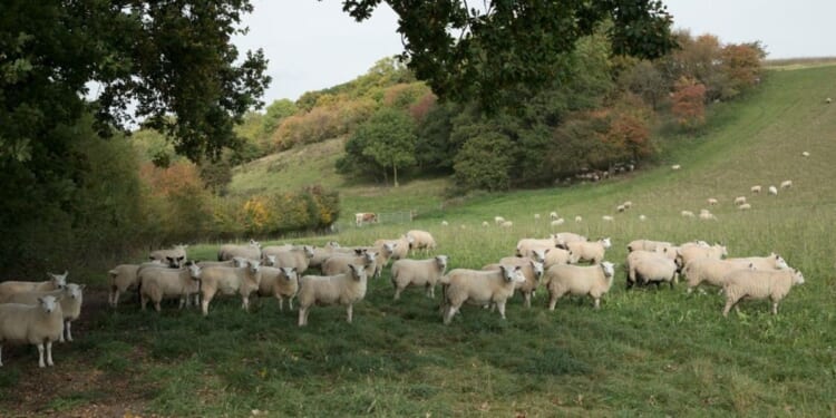 'I'm not sure I see a future!'