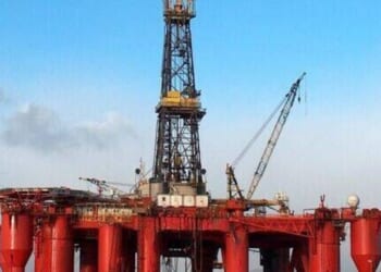 Diver's organs 'expelled from his body' in 'most gruesome death of all time' | UK | News