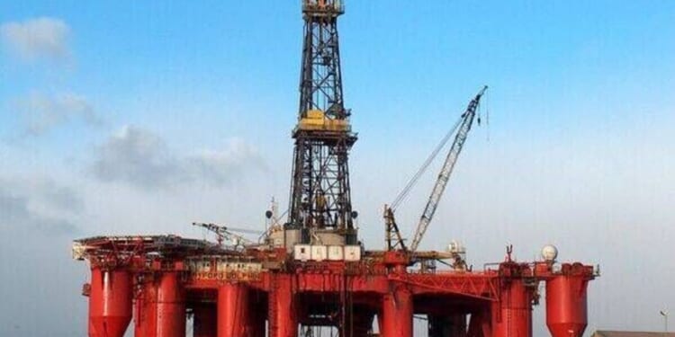 Diver's organs 'expelled from his body' in 'most gruesome death of all time' | UK | News