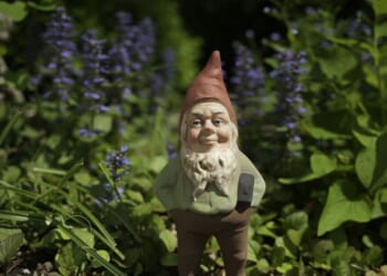 Couple win legal battle after neighbours used gnome to claim strip of lawn | UK | News