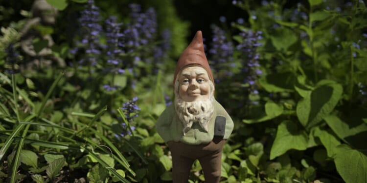 Couple win legal battle after neighbours used gnome to claim strip of lawn | UK | News