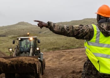 Army news: 'Bat disco' scheme championed by Ministry of Defence while wars rage around the world