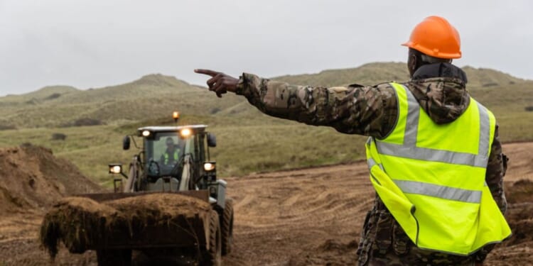 Army news: 'Bat disco' scheme championed by Ministry of Defence while wars rage around the world