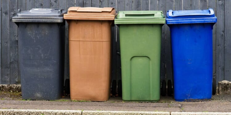 Everything you should know over £80 fines for breaking bin rules | UK | News