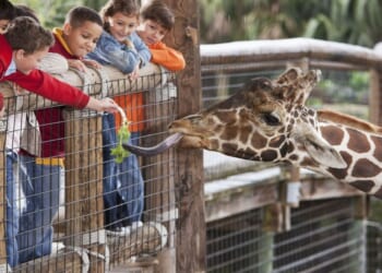 Met Office statement as tourist attractions complain about forecasts | Weather | News
