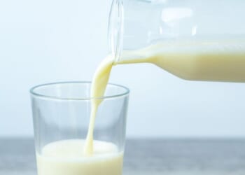 Jersey full-fat milk demand is at its highest for half a century, farmers reveal