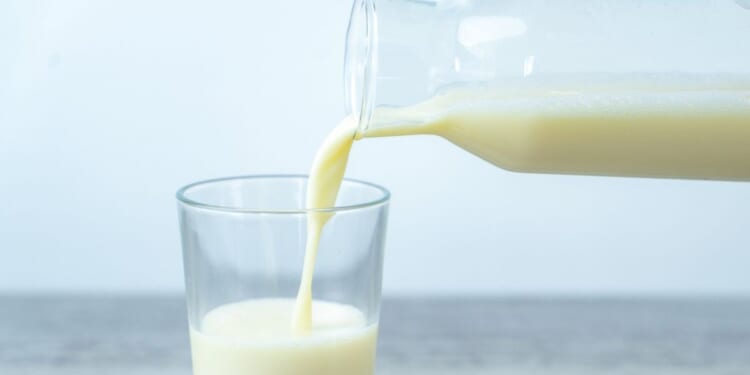 Jersey full-fat milk demand is at its highest for half a century, farmers reveal