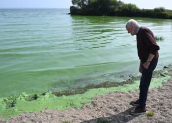 UK's largest lake which supplies drinking water to THOUSANDS of Britons home to genes capable of creating antibiotic-resistant superbugs