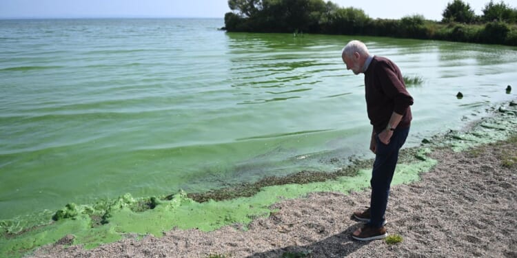 UK's largest lake which supplies drinking water to THOUSANDS of Britons home to genes capable of creating antibiotic-resistant superbugs