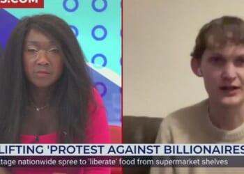 Activist defends national shoplifting spree as protest against growing wealth inequality