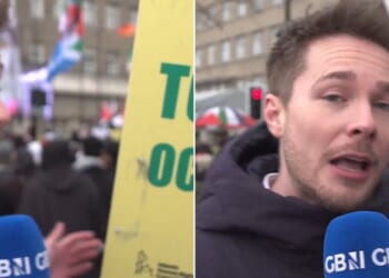 'I'm trying to do my job!'