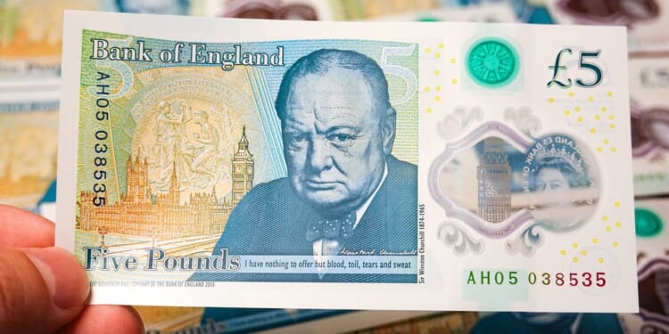 Bank of England should replace Winston Churchill by RATS on new banknotes says RSPCA